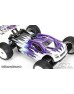 Proline BullDog Clear Body D8T