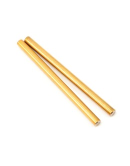 Team Associated Ti-Nitride Front Inner Hinge Pin Set (RC8.2)